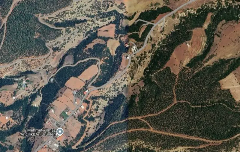 Altındere Mah., Satılık, Tarla, 8.305 m² — fotoğraf 2