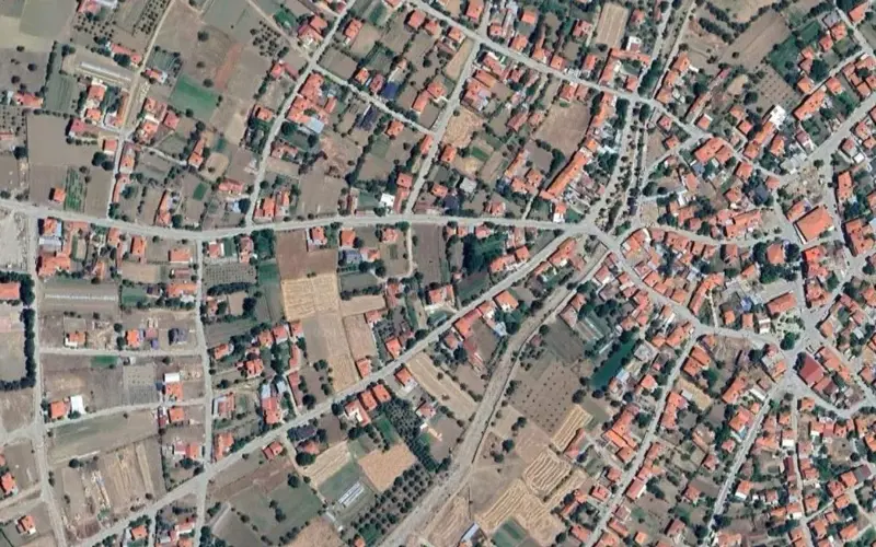 229.jpg