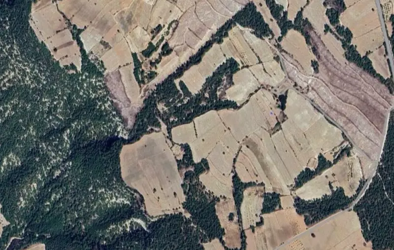 Uzunpınar Mah., Satılık, Tarla, 7.859 m² — fotoğraf 2