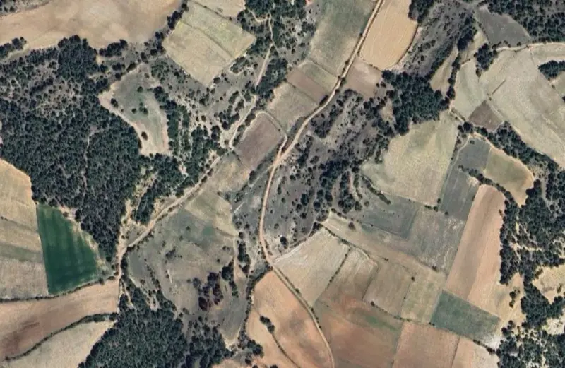 1945.jpg