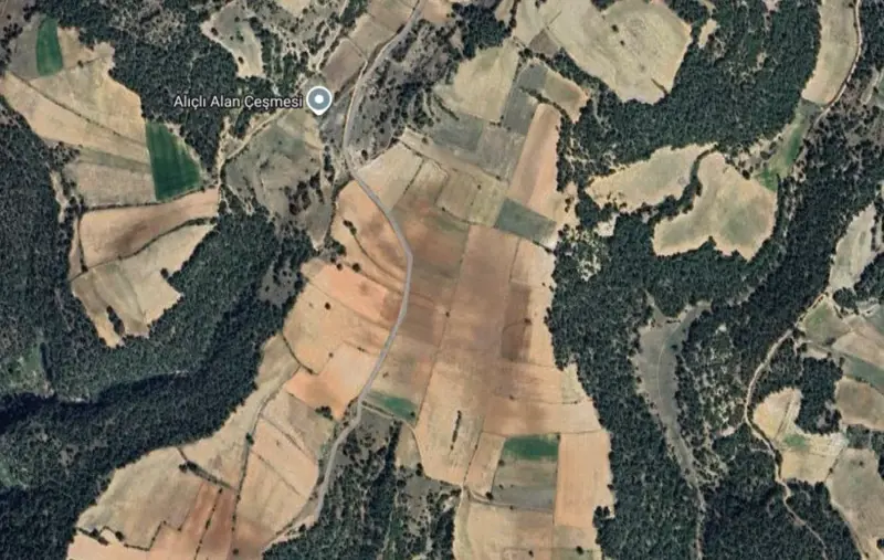 Güzelpınar Mah., Satılık, Tarla, 7.619 m² — fotoğraf 2