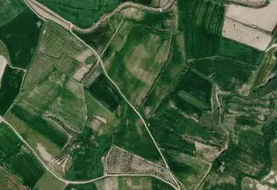 Denizli, Sarayköy, Satılık, Tarla