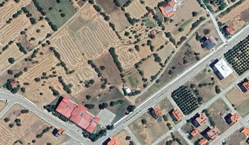 309.jpg