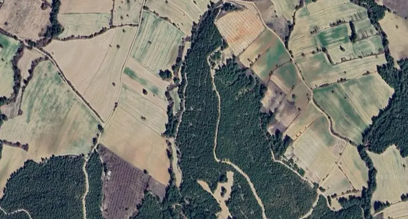 1515.jpg