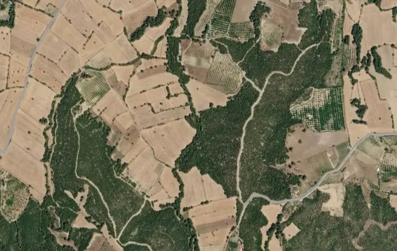 Karataş Mah., Satılık, Tarla, 2.962 m² — fotoğraf 2
