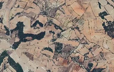Uzunpınar Mah., Satılık, Tarla, 12.970 m²