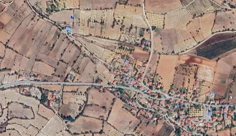 198.jpg