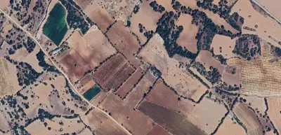Denizli, Güney, Satılık, Tarla