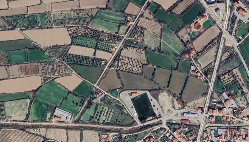 947.jpg
